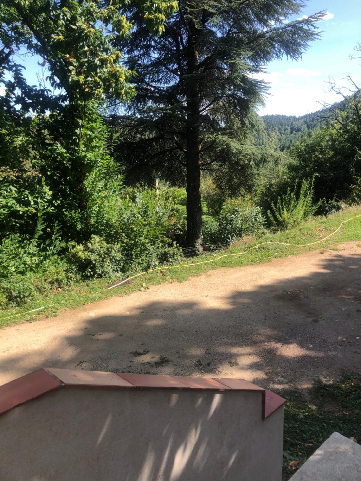 Chambre Dans Les Cevennes Concoules Exteriér fotografie